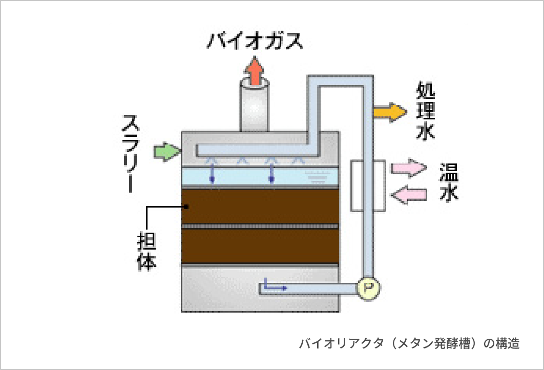 バイオリアクタ（メタン発酵槽）の構造